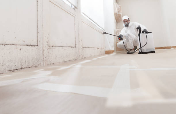 24/7 Emergency Mold Remediation experts in California, PA