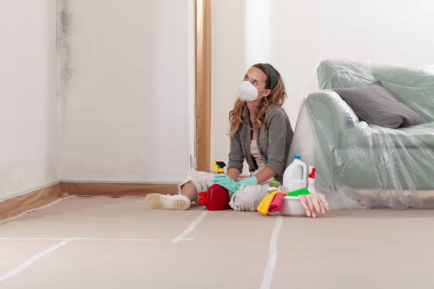 Reliable Mold Remediation contractor in California, PA by Mold Remediation HQ